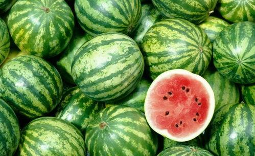 啥是吃瓜网,网络舆论场中的“瓜田”探秘