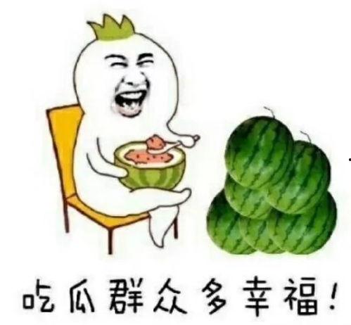 在娱乐圈吃瓜